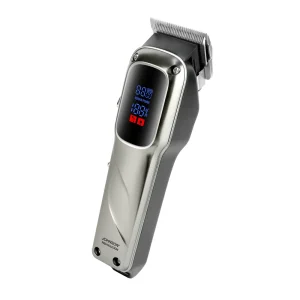 johnson-revolution-principale